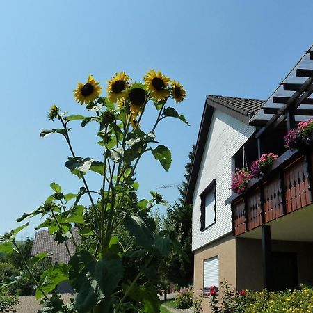 Blumenwiese Weilheim 外观 照片
