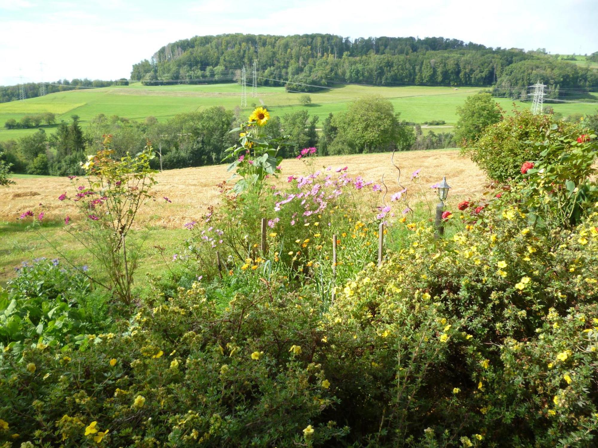Blumenwiese Weilheim 外观 照片