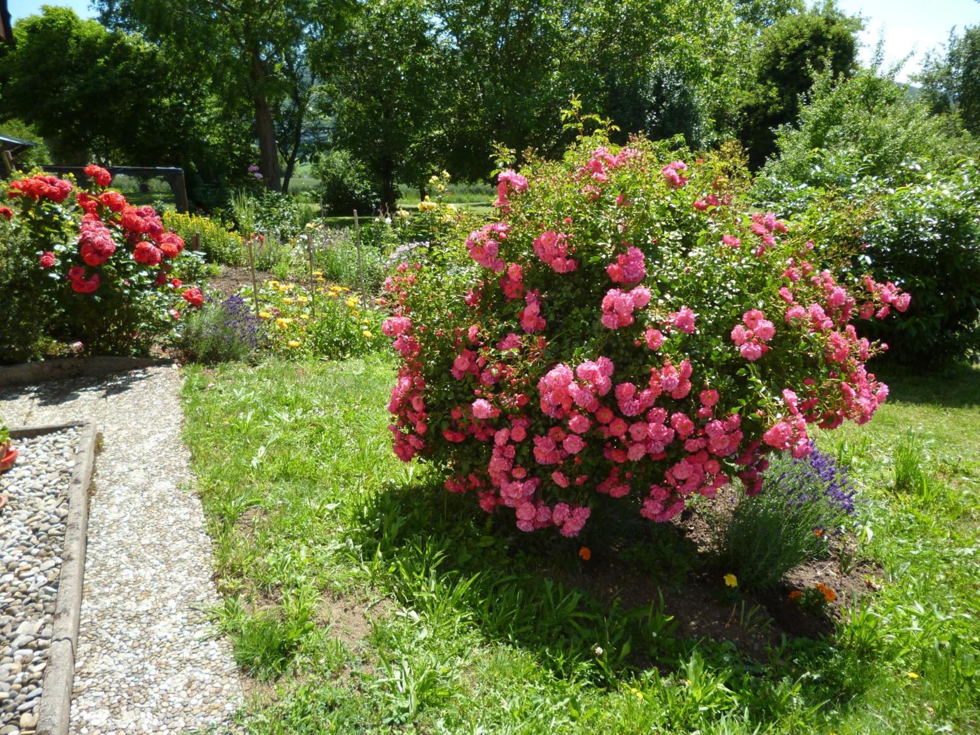Blumenwiese Weilheim 外观 照片