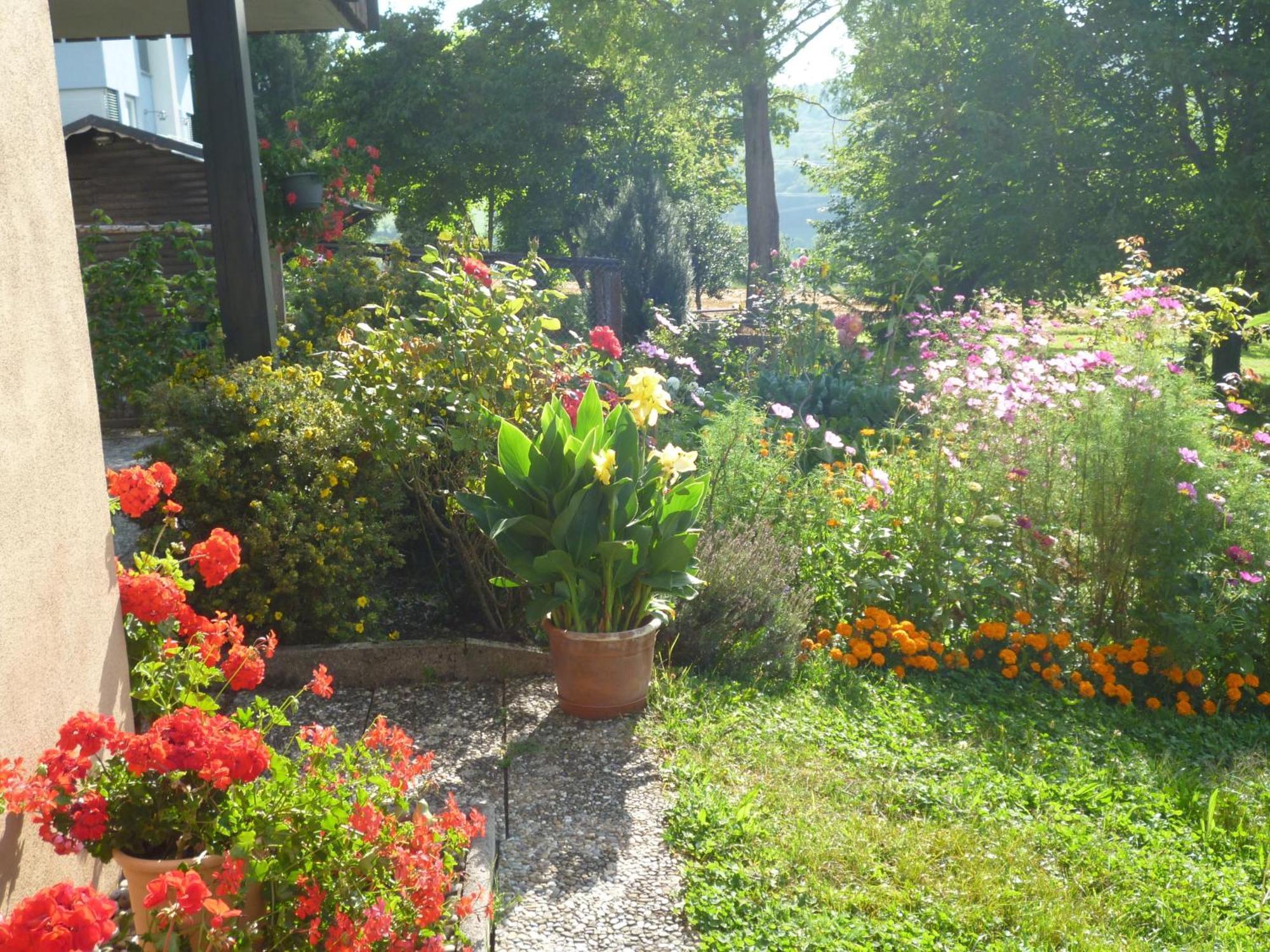 Blumenwiese Weilheim 外观 照片